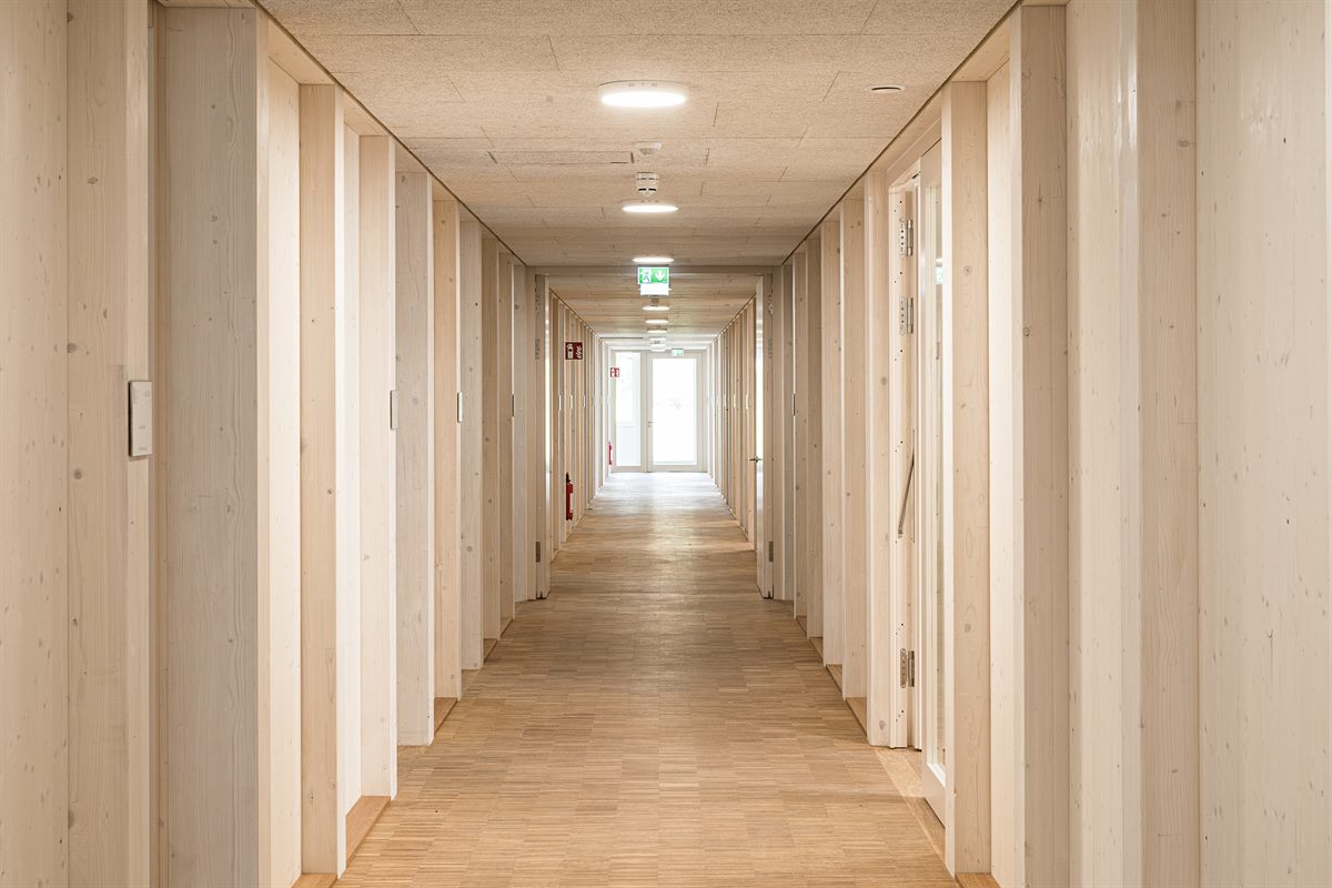 Rubner_Holzbau_183_0256_cs6_20x30
