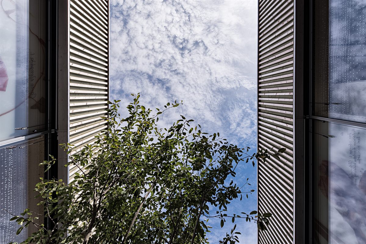 Rubner_Holzbau_183_0261_cs6_20x30