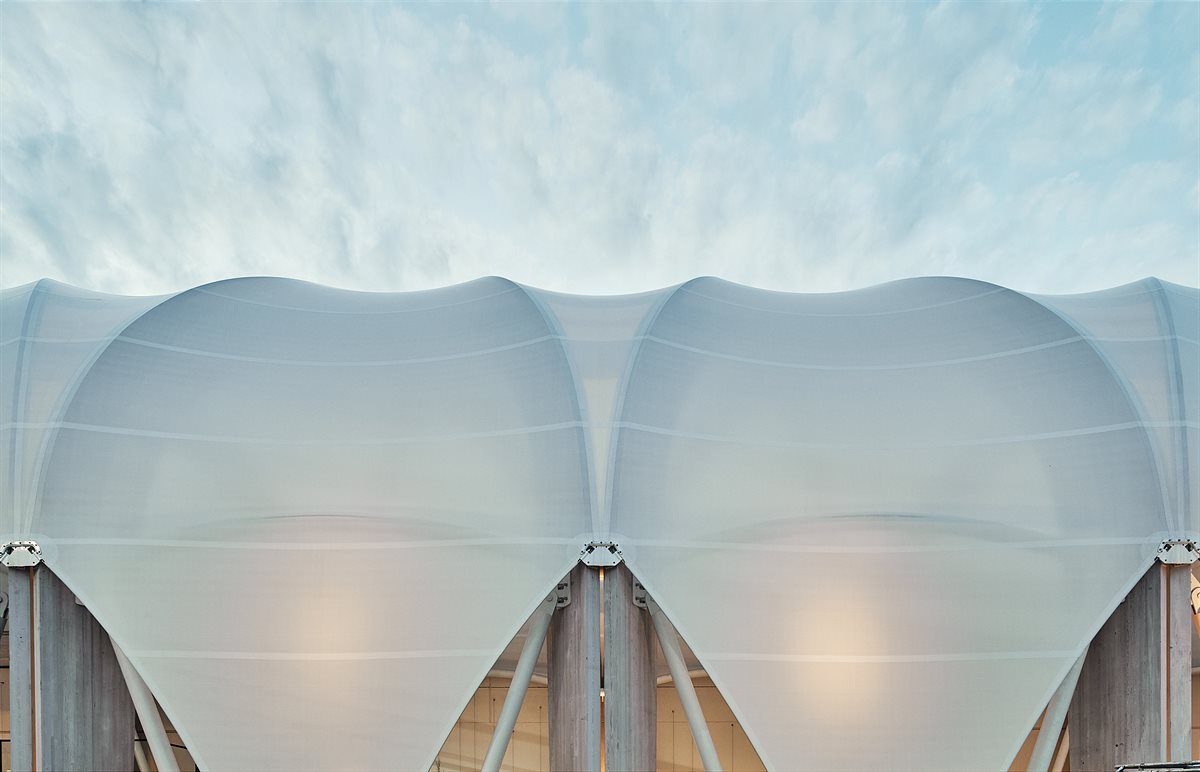 01585_00_N696-sm