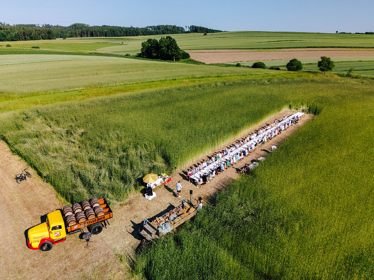Brot im Kornfeld c Matthias Ledwinka-1