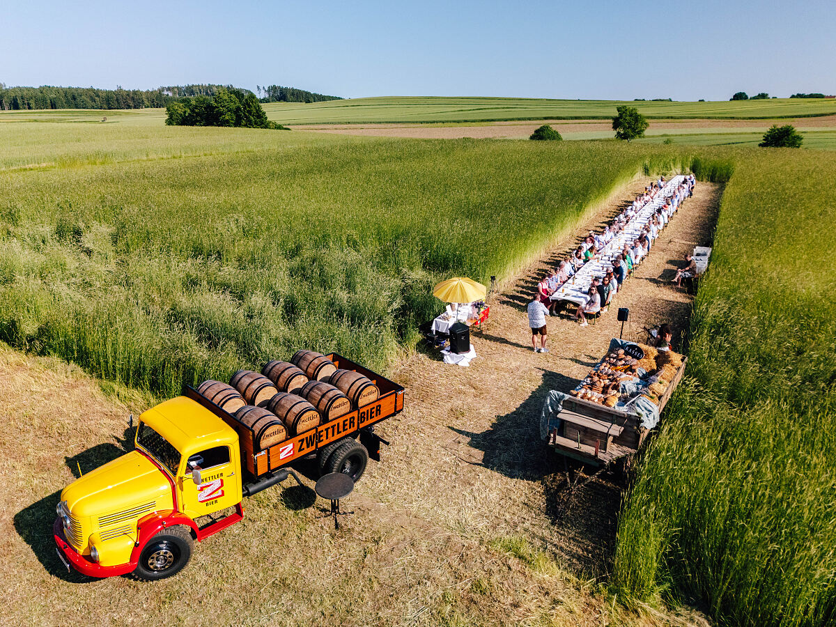 Brot im Kornfeld c Matthias Ledwinka-2